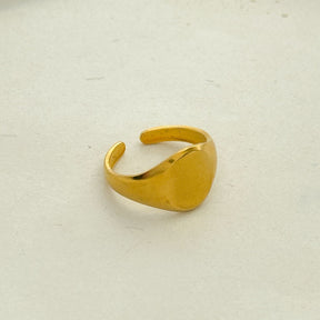 Anel AÇO Regulável