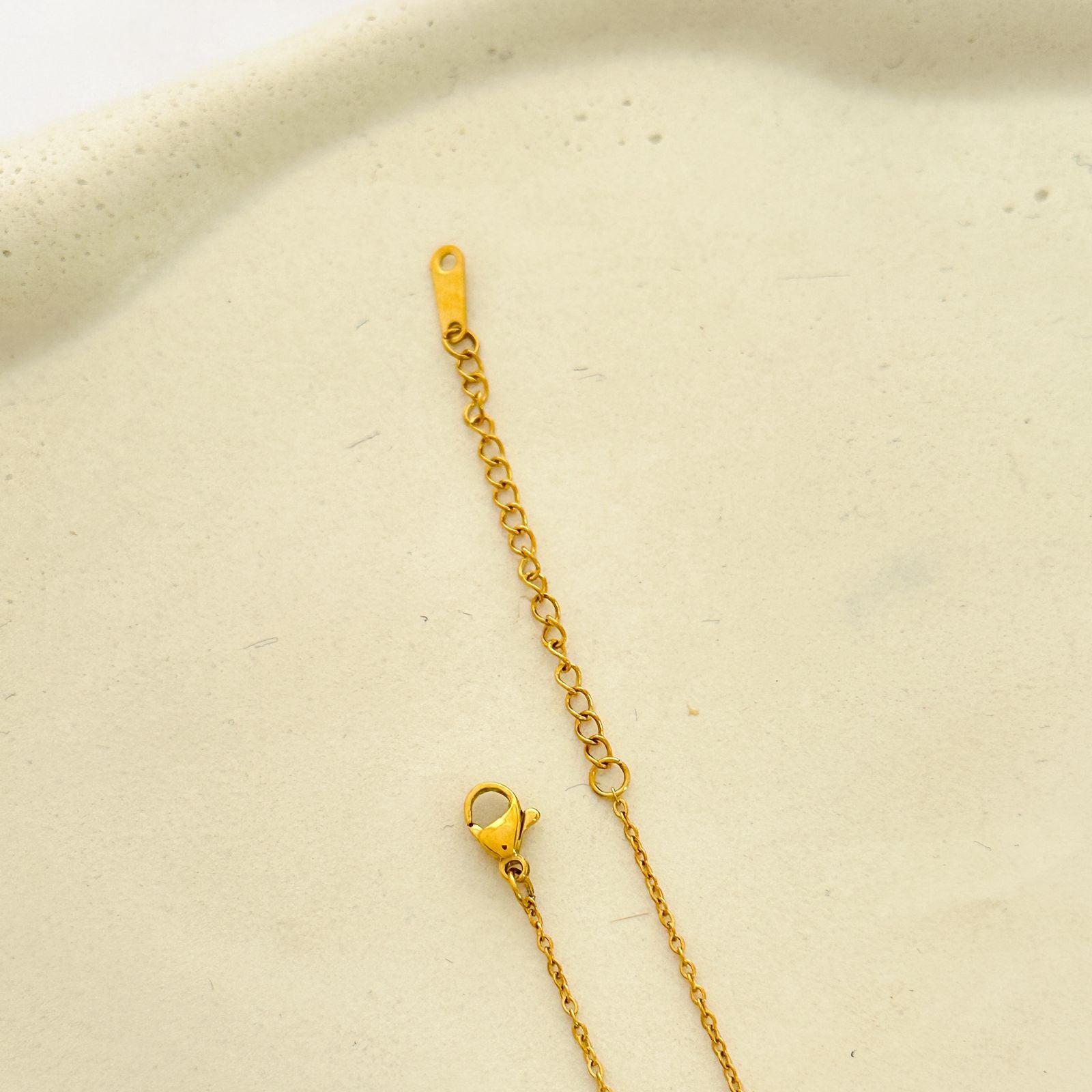 Colar em Aço Nsa Senhora