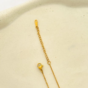 Colar em Aço Nsa Senhora