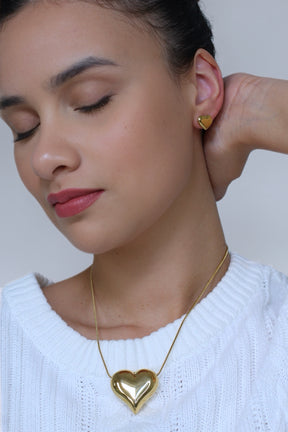 Conjunto Coração Aço